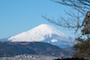 弘法山公園・権現山の富士