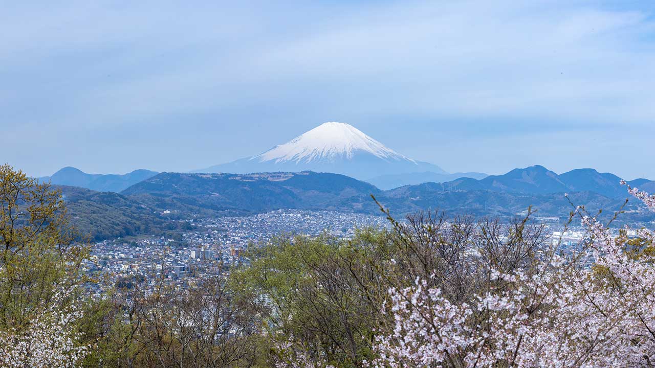 弘法山公園・権現山