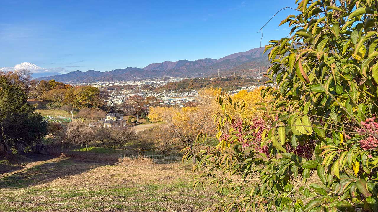 弘法山公園・権現山